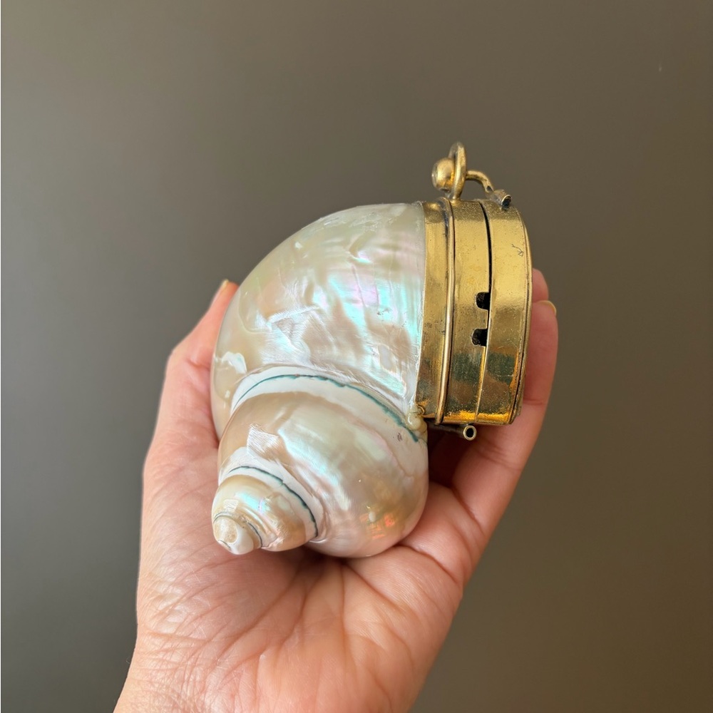 Gold and Cream Shell Clutch - Picture 5 of 16